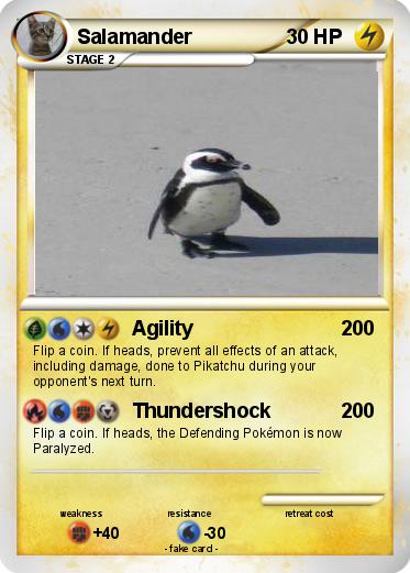Pokemon Salamander