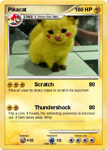 Pokemon Pikacat