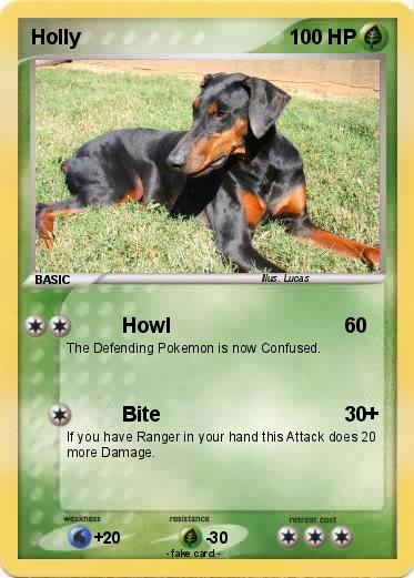 Pokemon Holly