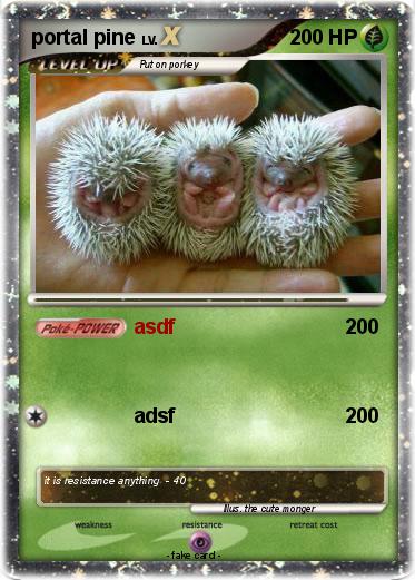 Pokemon portal pine
