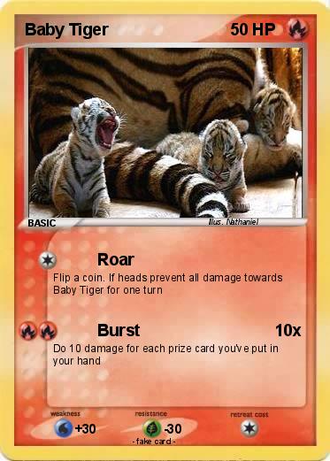 Pokemon Baby Tiger