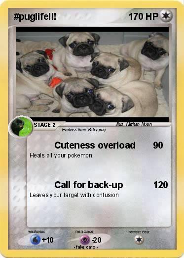 Pokemon #puglife!!!
