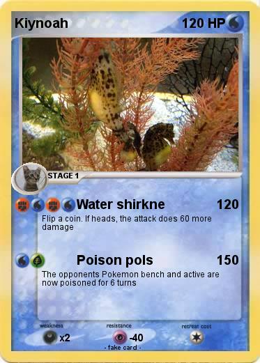 Pokemon Kiynoah