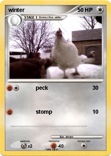 Pokemon winter
