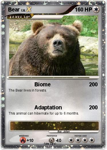 Pokemon Bear