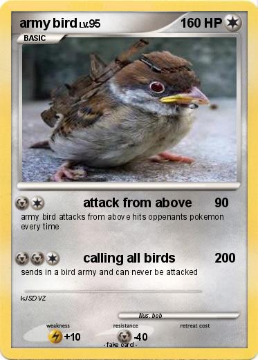 Pokemon army bird