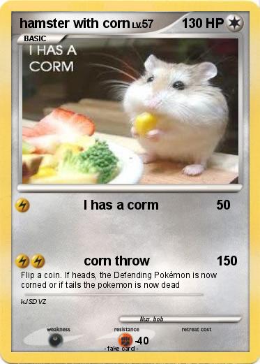 Pokemon hamster with corn