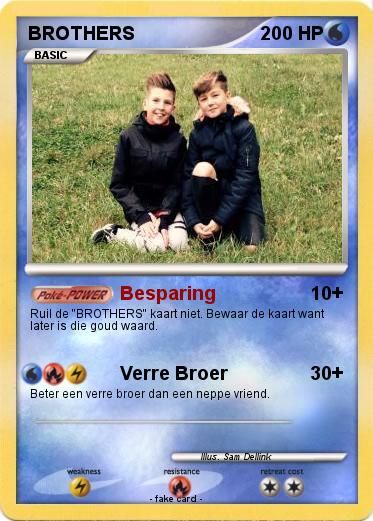 Pokemon BROTHERS