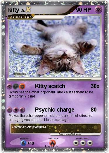 Pokemon kitty