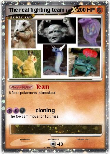 Pokemon The real fighting team