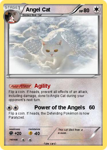 Pokemon Angel Cat