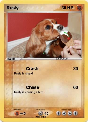 Pokemon Rusty