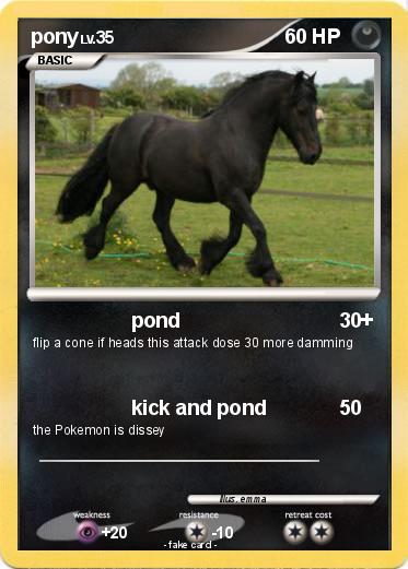 Pokemon pony