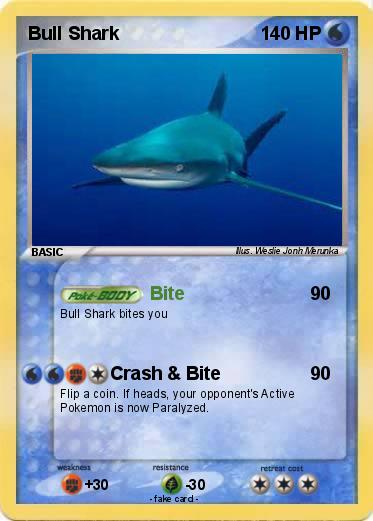 Pokemon Bull Shark