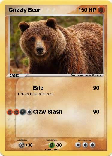 Pokemon Grizzly Bear