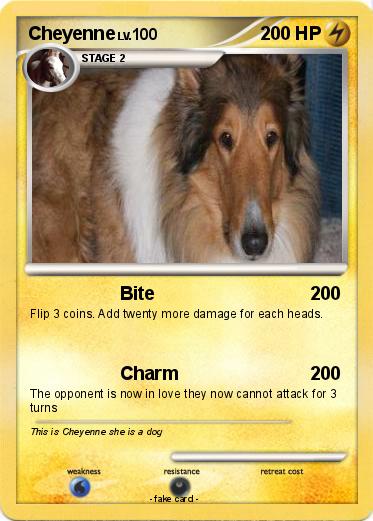 Pokemon Cheyenne