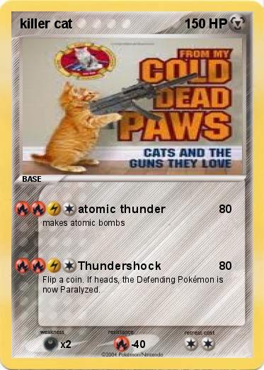 Pokemon killer cat 