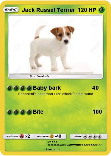 Pokemon Jack Russel Terrier