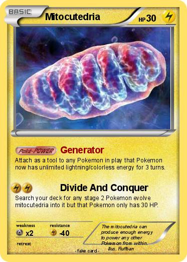 Pokemon Mitocutedria