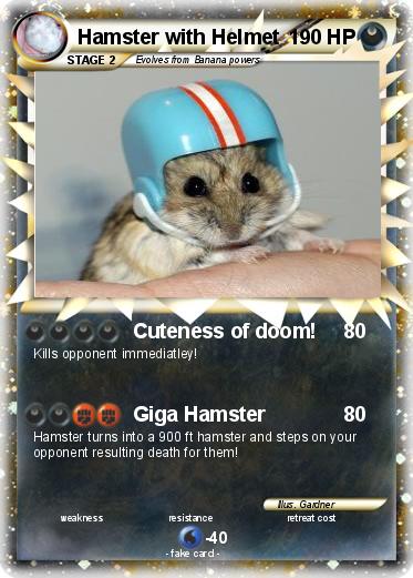 Pokemon Hamster with Helmet