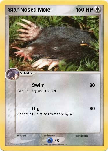 Pokemon Star-Nosed Mole