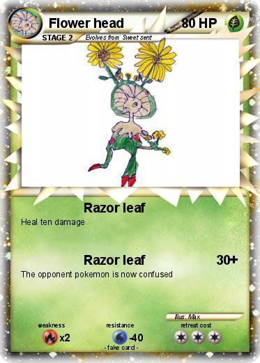 Pokemon Flower head