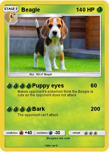 Pokemon Beagle