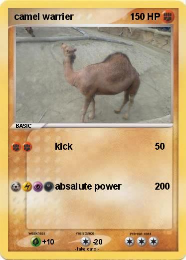 Pokemon camel warrier