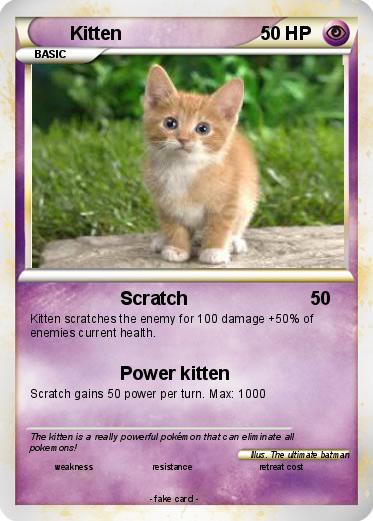 Pokemon Kitten
