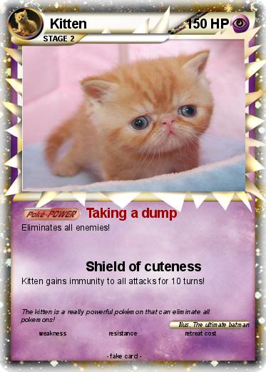 Pokemon Kitten