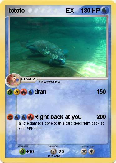 Pokemon tototo                          EX