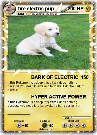 Pokemon fire electric pup