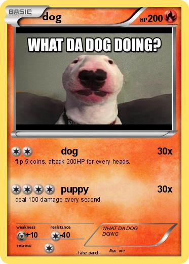 Pokemon dog