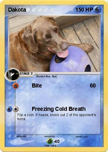 Pokemon Dakota