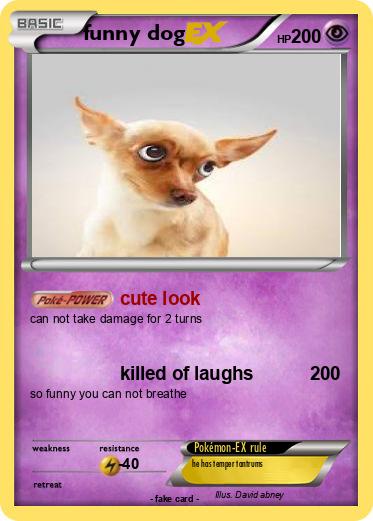 Pokemon funny dog