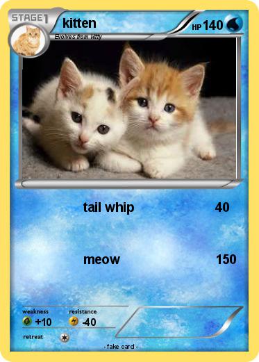 Pokemon kitten