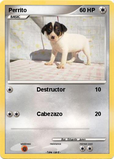 Pokemon Perrito