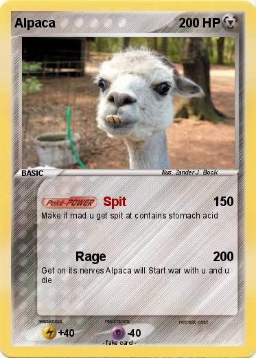 Pokemon Alpaca