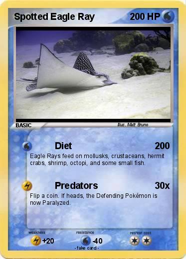 Pokemon Spotted Eagle Ray