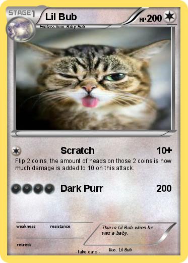 Pokemon Lil Bub