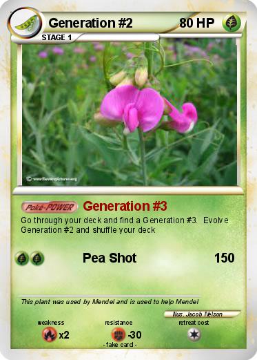 Pokemon Generation #2