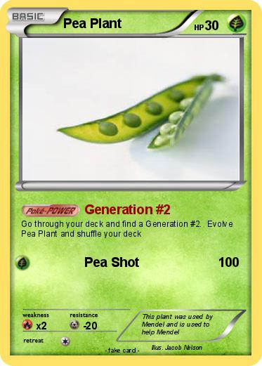 Pokemon Pea Plant