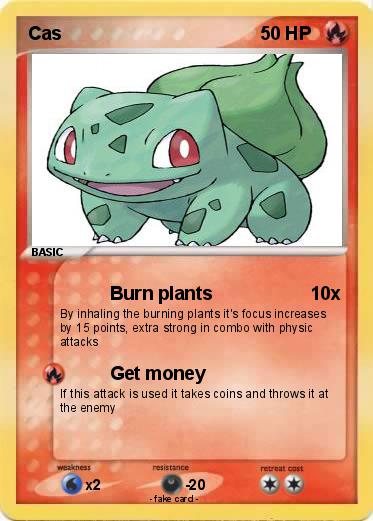 Pokemon Cas