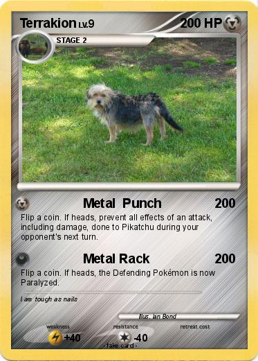 Pokemon Terrakion