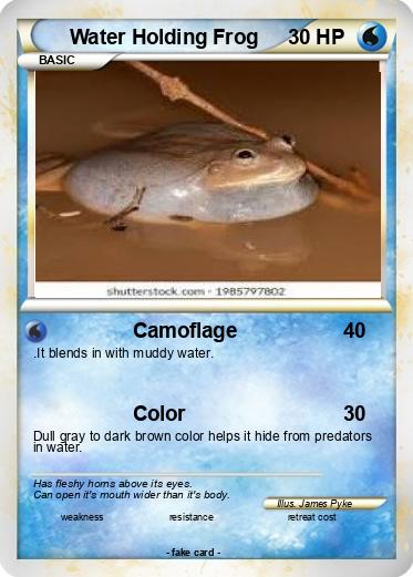 Pokemon Water Holding Frog