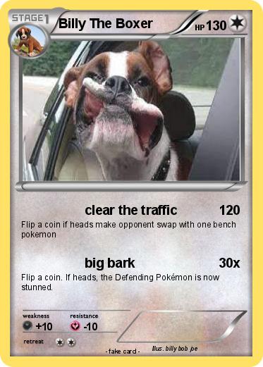 Pokemon Billy The Boxer