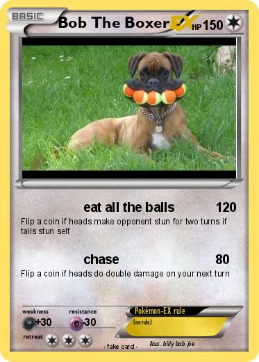 Pokemon Bob The Boxer