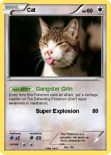 Pokemon Cat