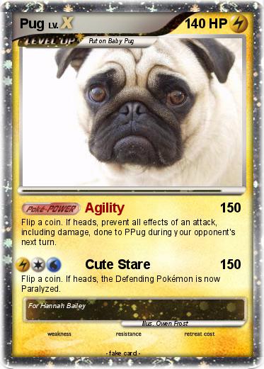 Pokemon Pug