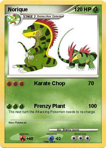 Pokemon Norique